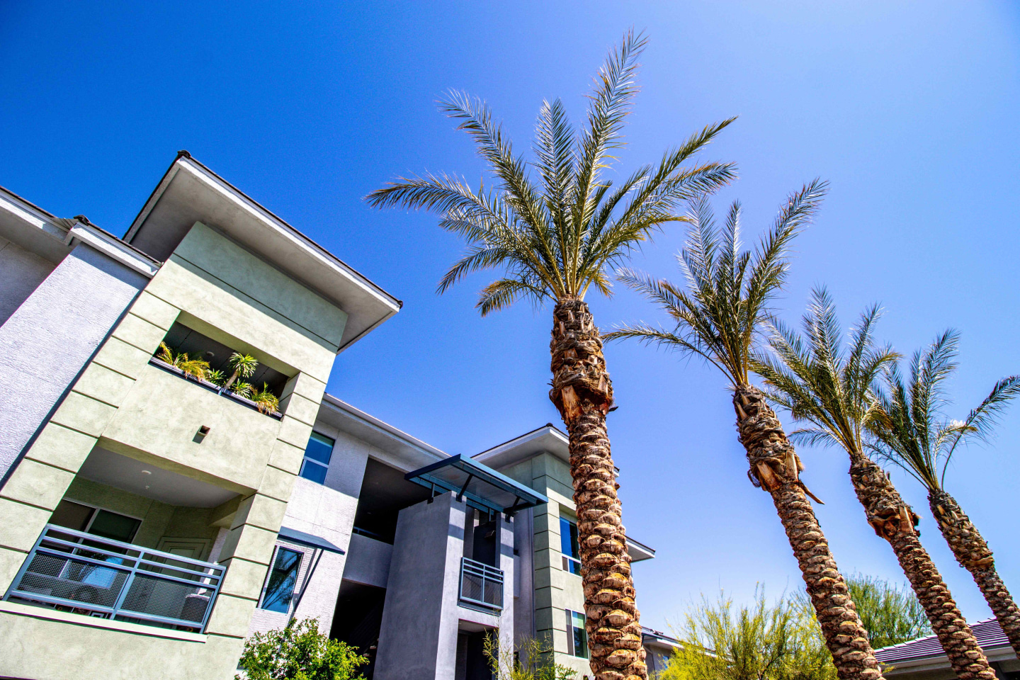 The Place at Sonoran Trails Image 38
