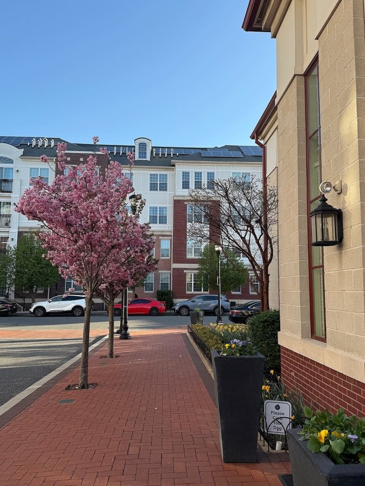 Harbor Pointe Image 146