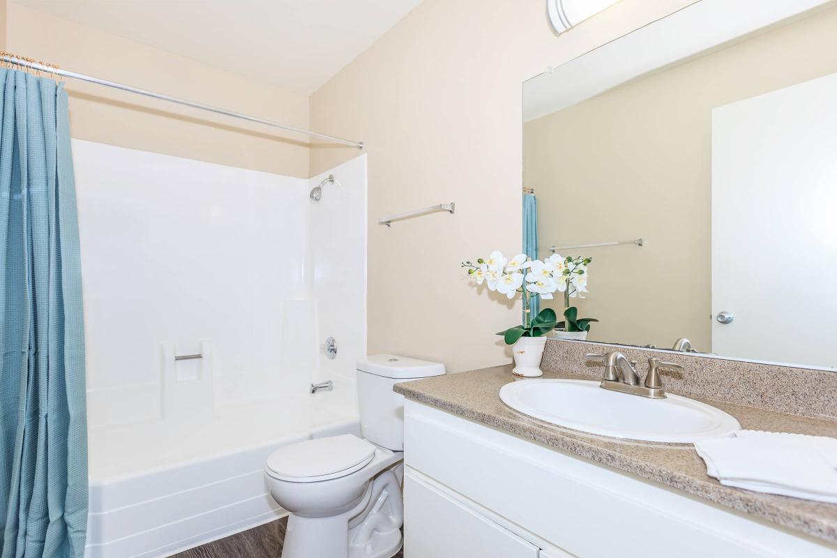 Park City Apartment Homes Image 8