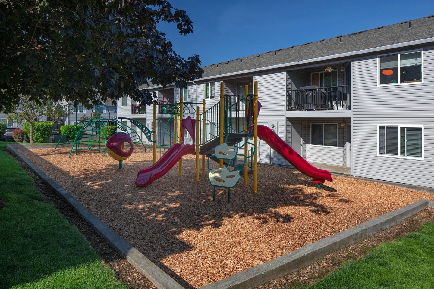 Avana Evergreen Image 5