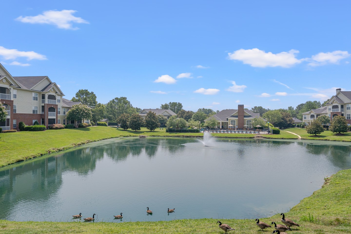 Kildaire Reserve Apartments Image 9