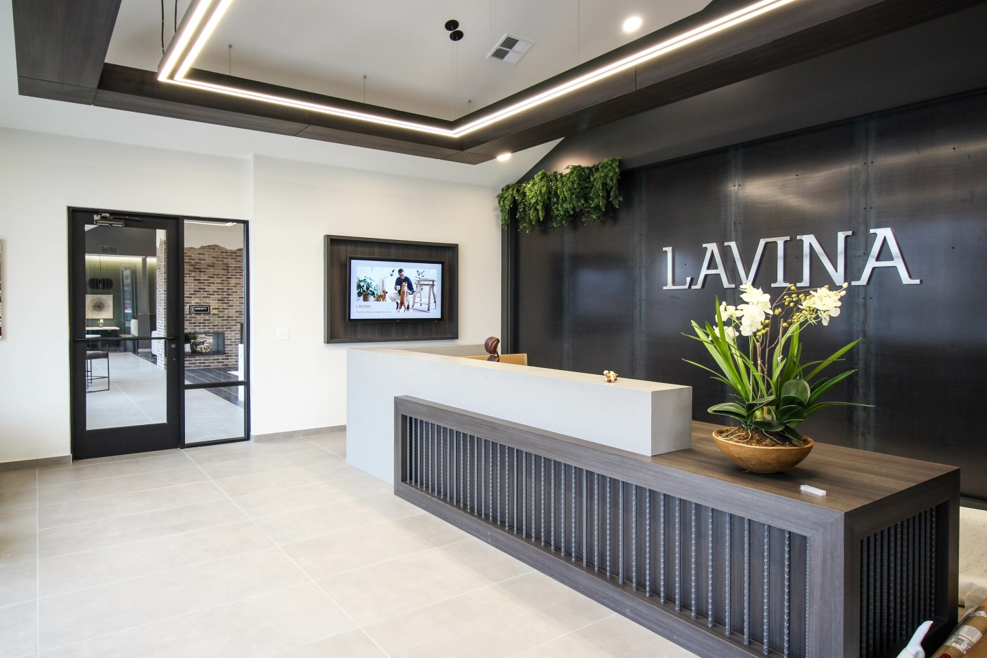 Lavina Image 2