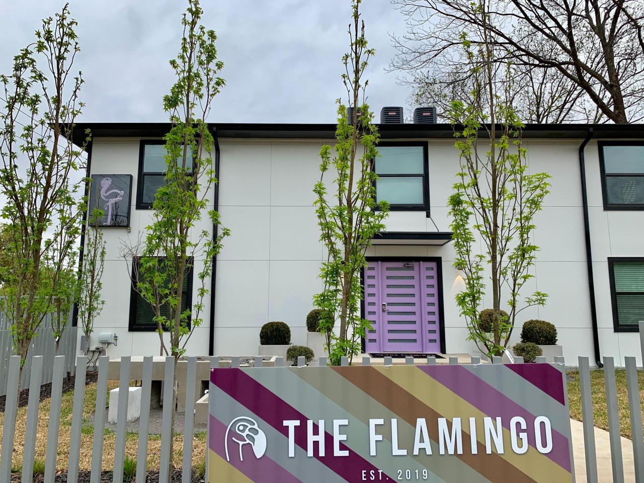 The Flamingo Image 16
