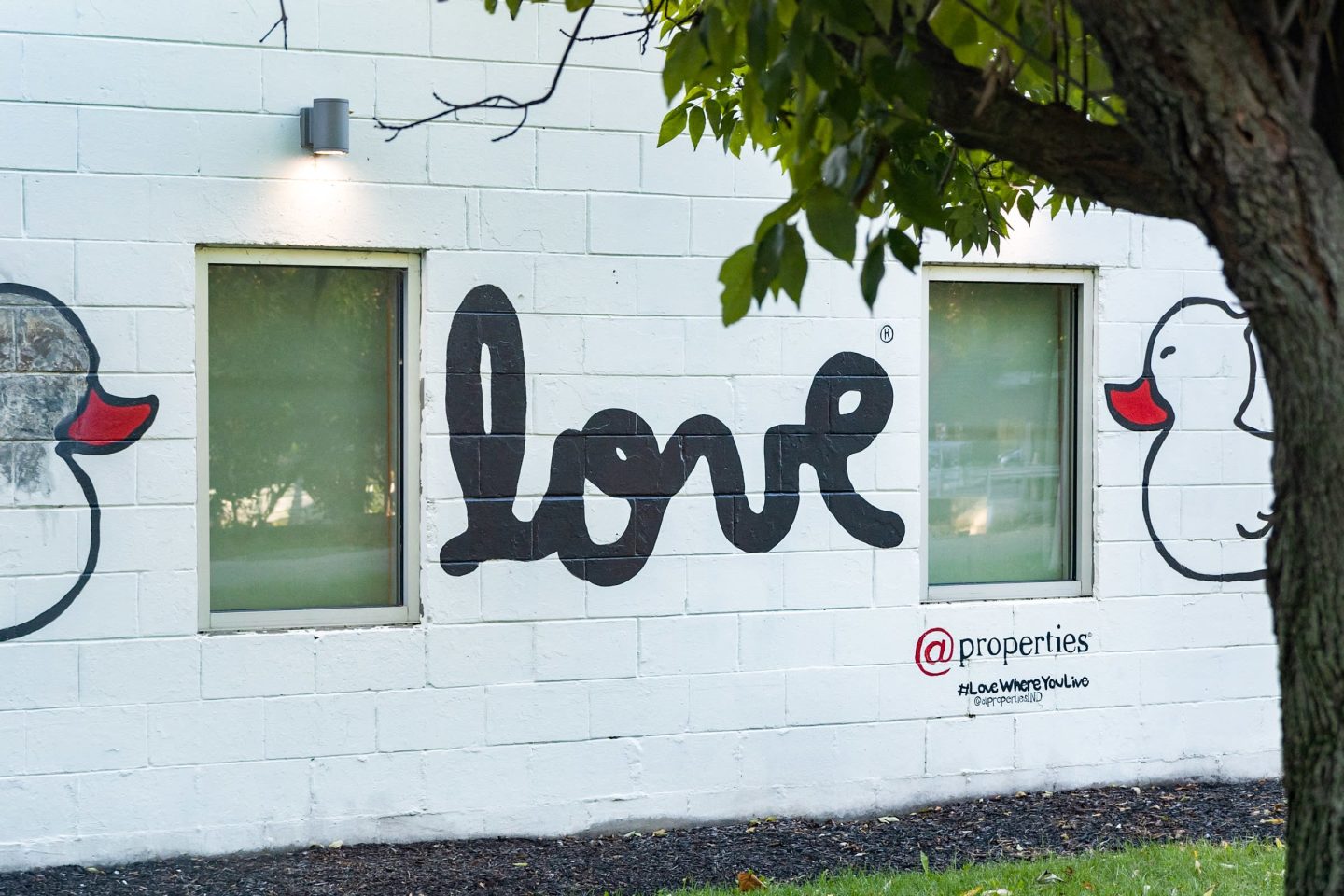 Monon Living Image 109