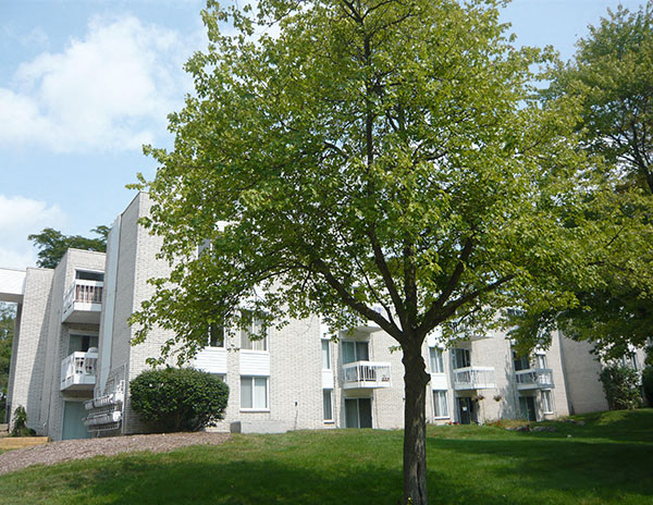 Charlton Apartments Image 2