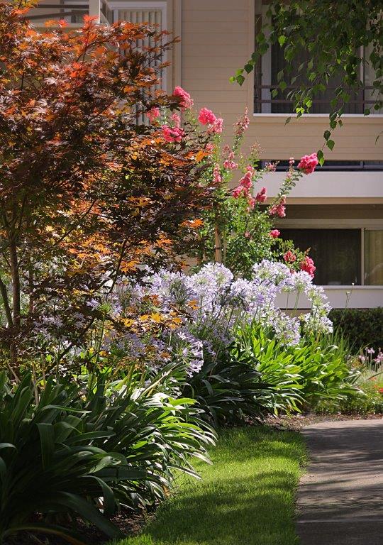 Arcadian Apartments Image 5