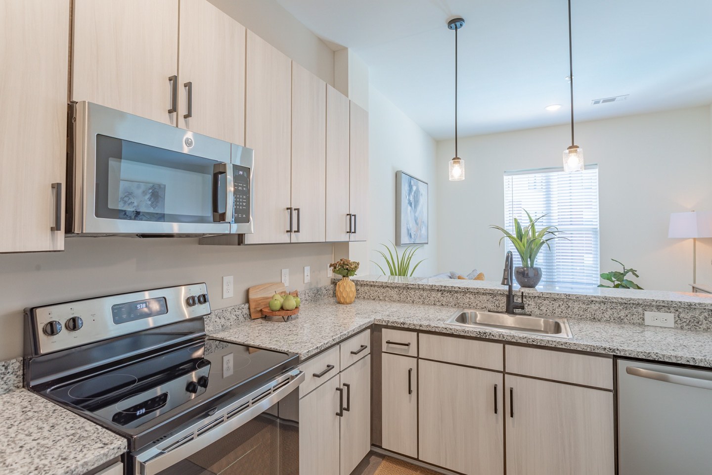 6228 Music City Apartments Image 3