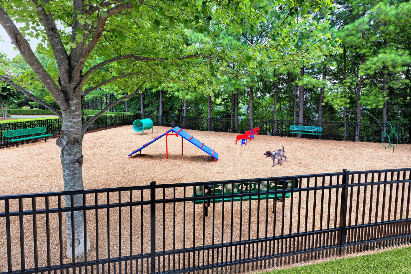 Greenway at Mallard Creek Image 32