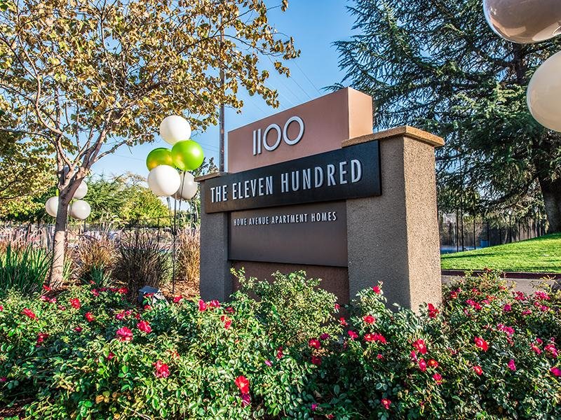 The Eleven Hundred Image 1