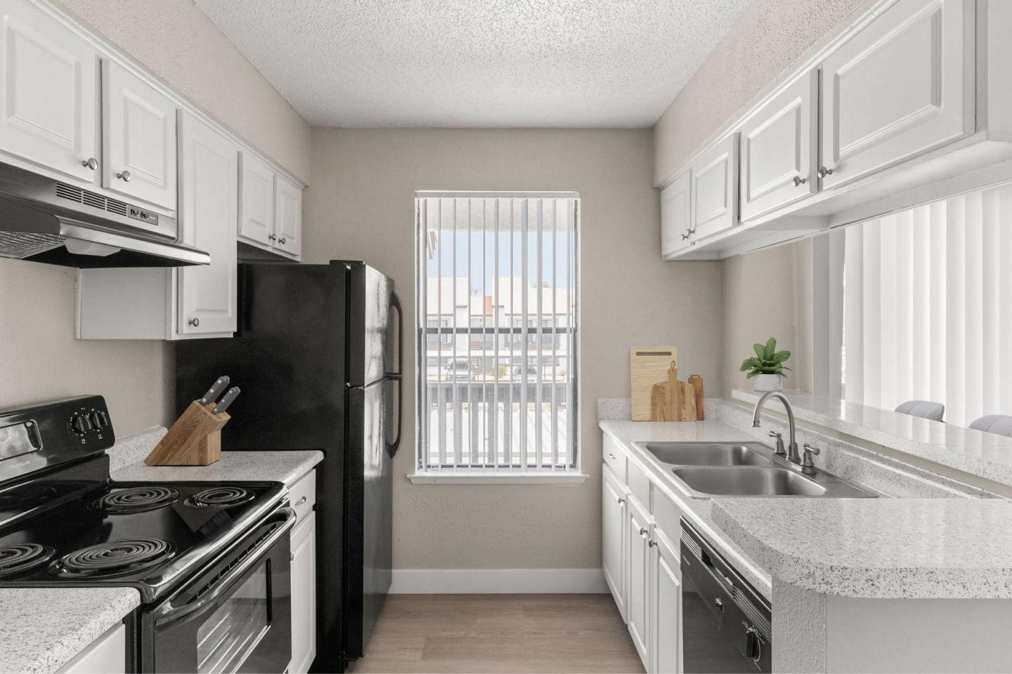 Cielo on Gilbert Image 11