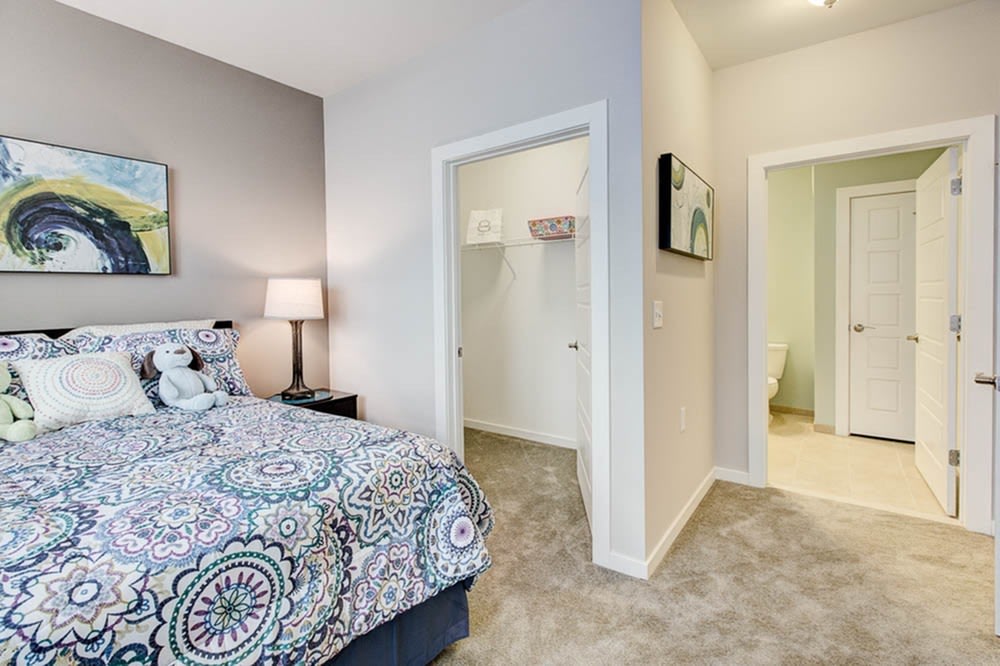 Westfield 41 Apartment Homes Image 5