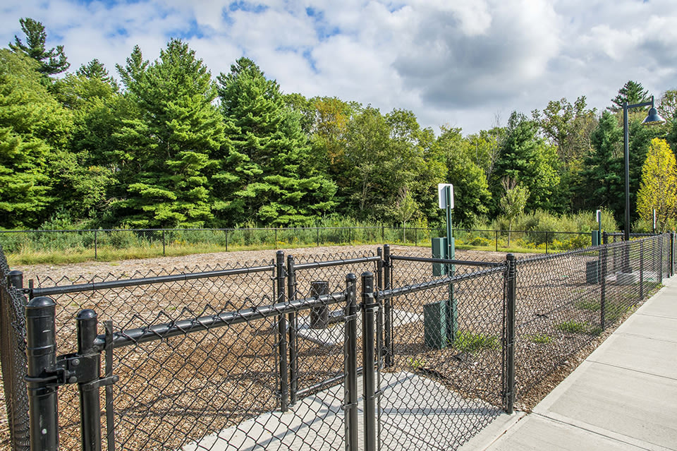 The Westerly at Forge Park Image 15