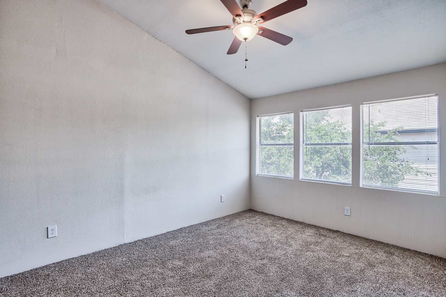 Branch Creek Apartments Image 7