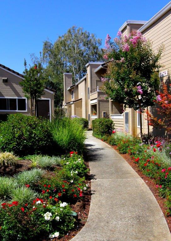 Arcadian Apartments Image 8