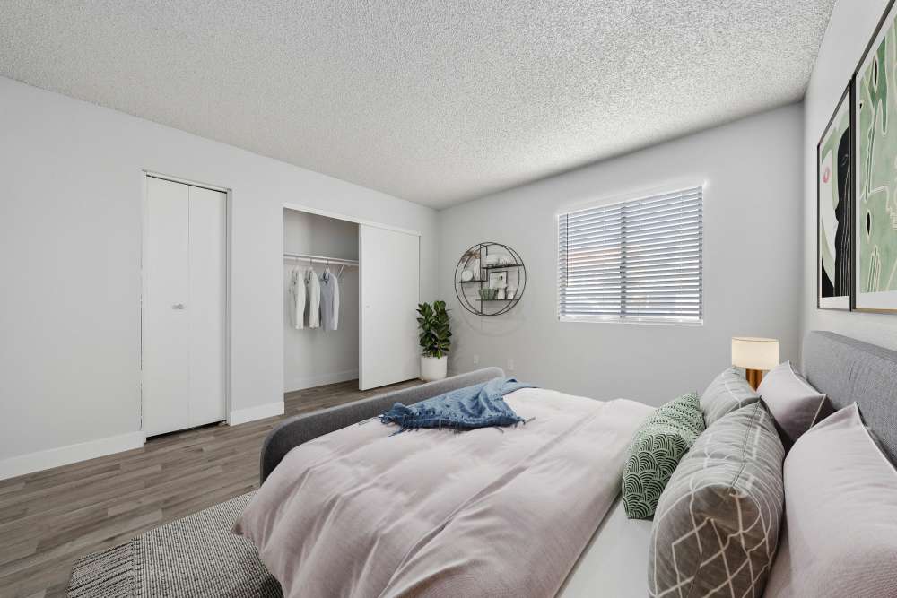Newport Apartments Image 7