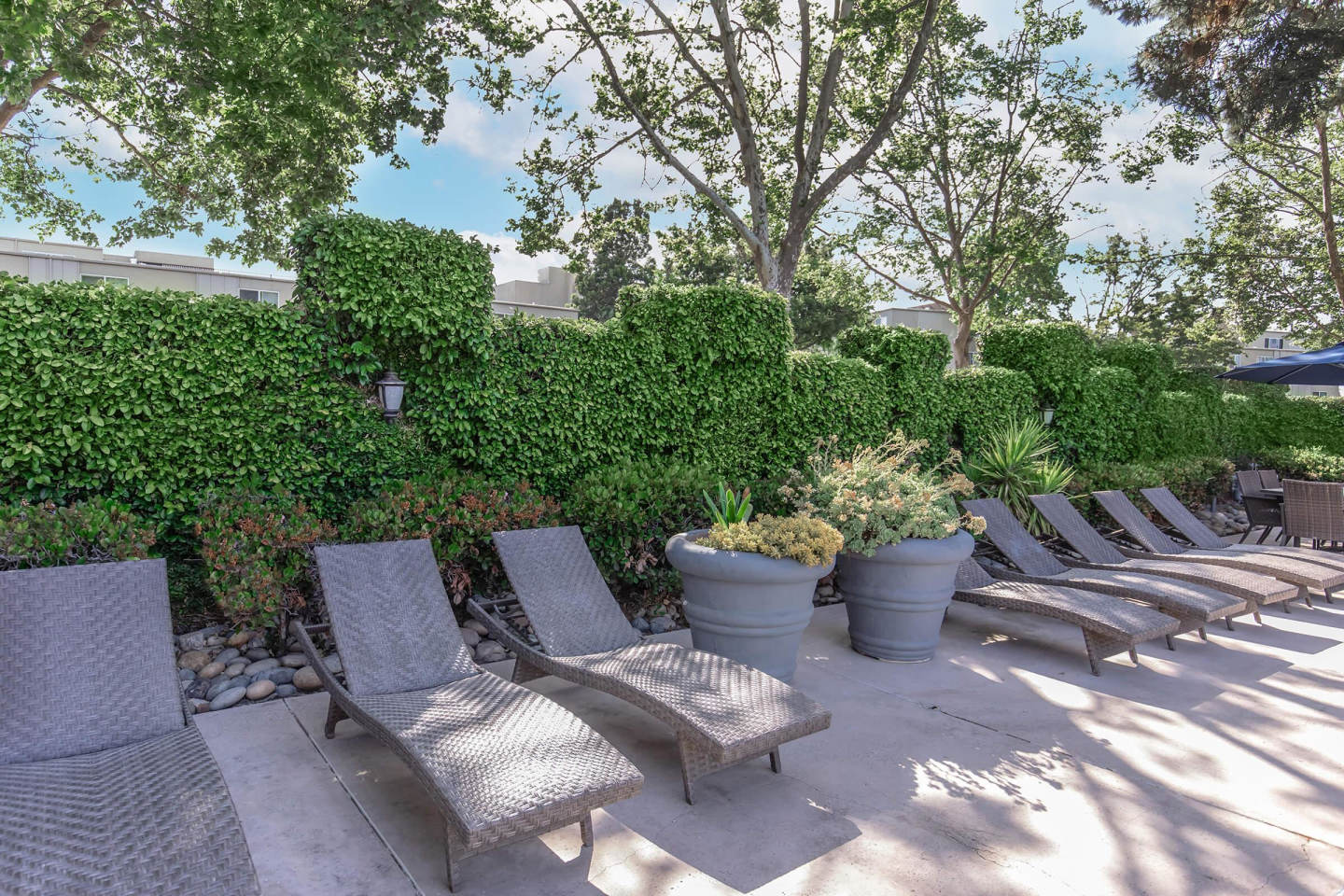 Paloma Vista Apartment Homes Image 3