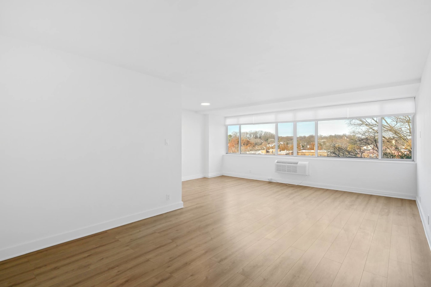 The Rittenhouse Image 12