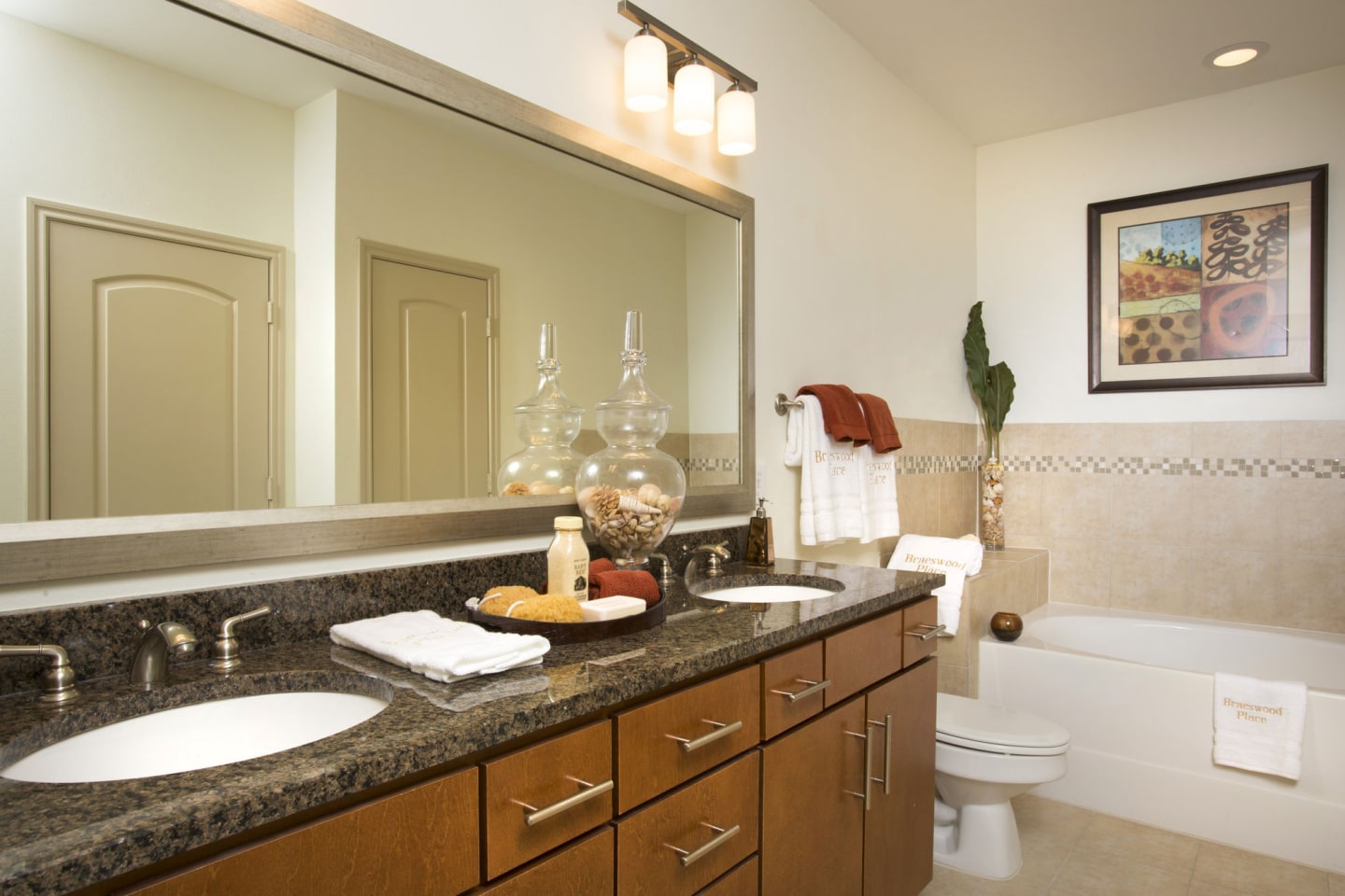 Braeswood Place Image 7