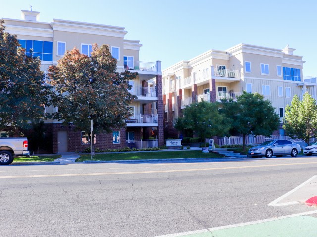 The Mercer Image 20