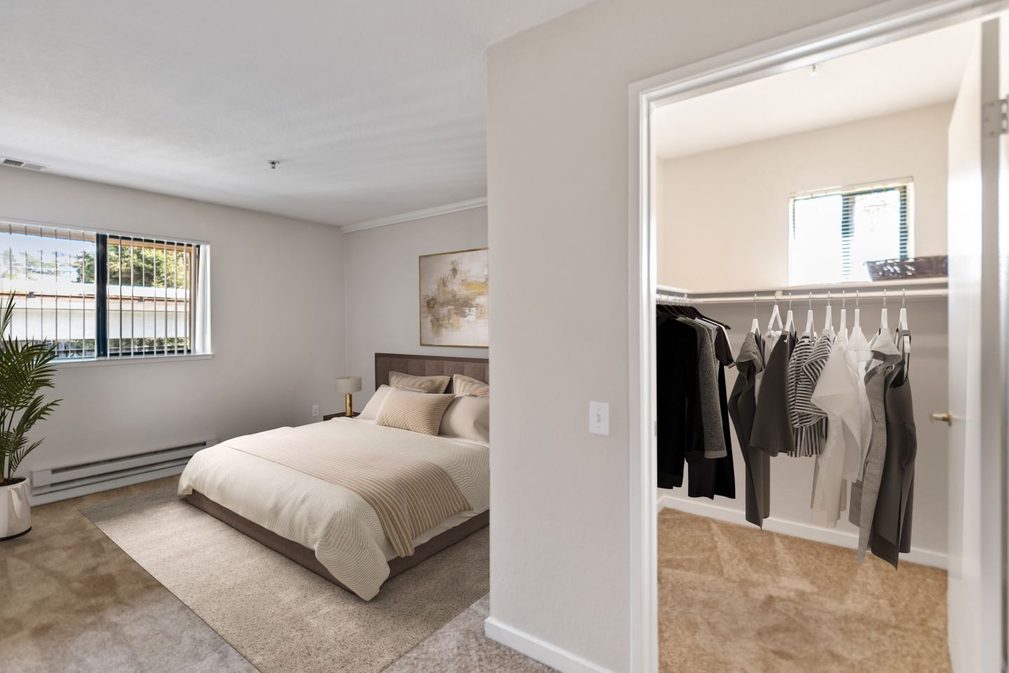Del Norte Place Apartment Homes Image 5