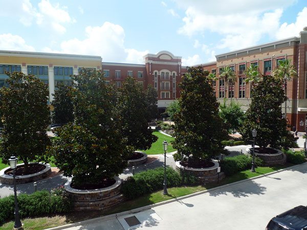 The Terraces at Perkins Rowe Image 19
