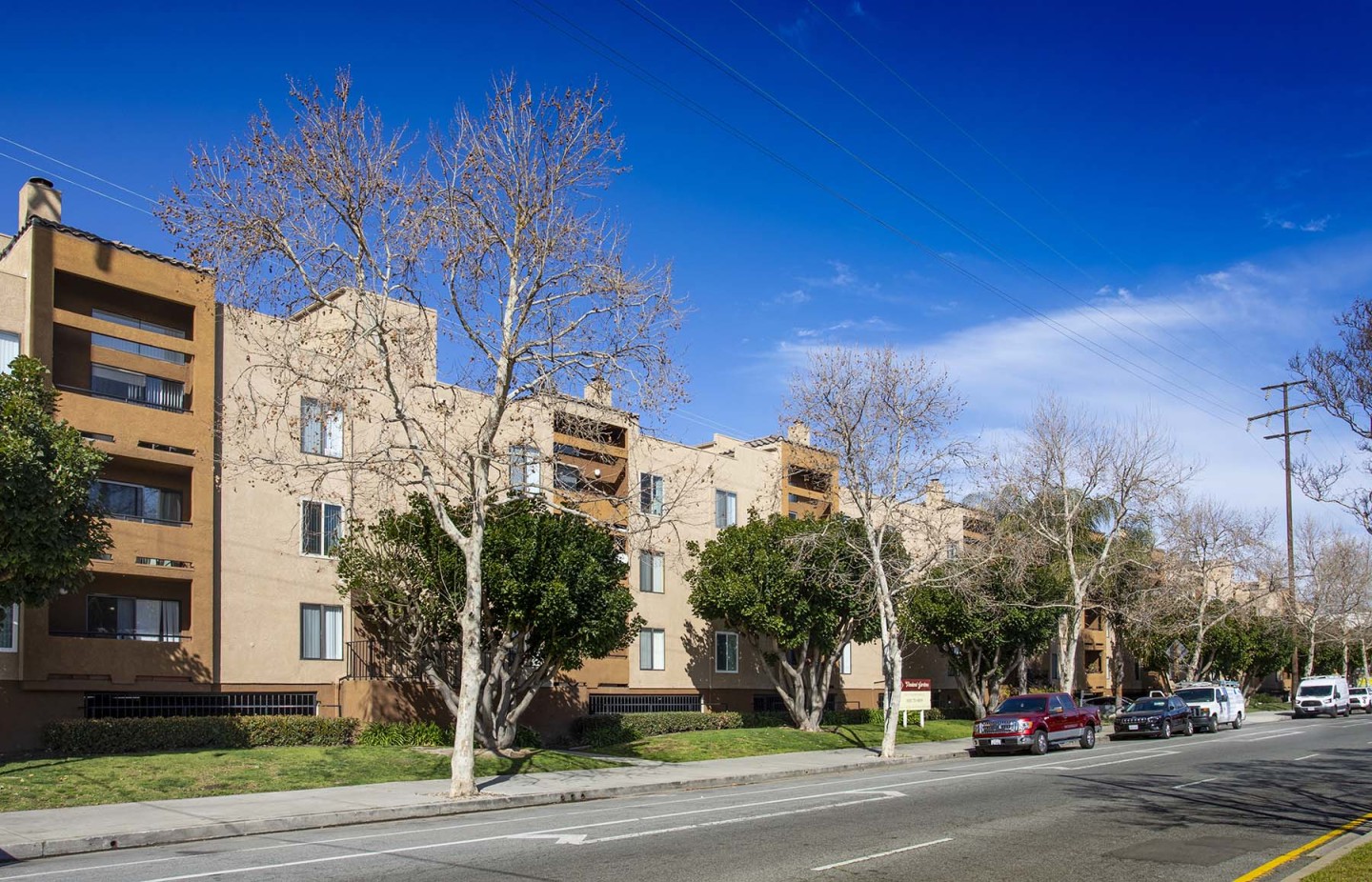 Vineland Gardens Image 1