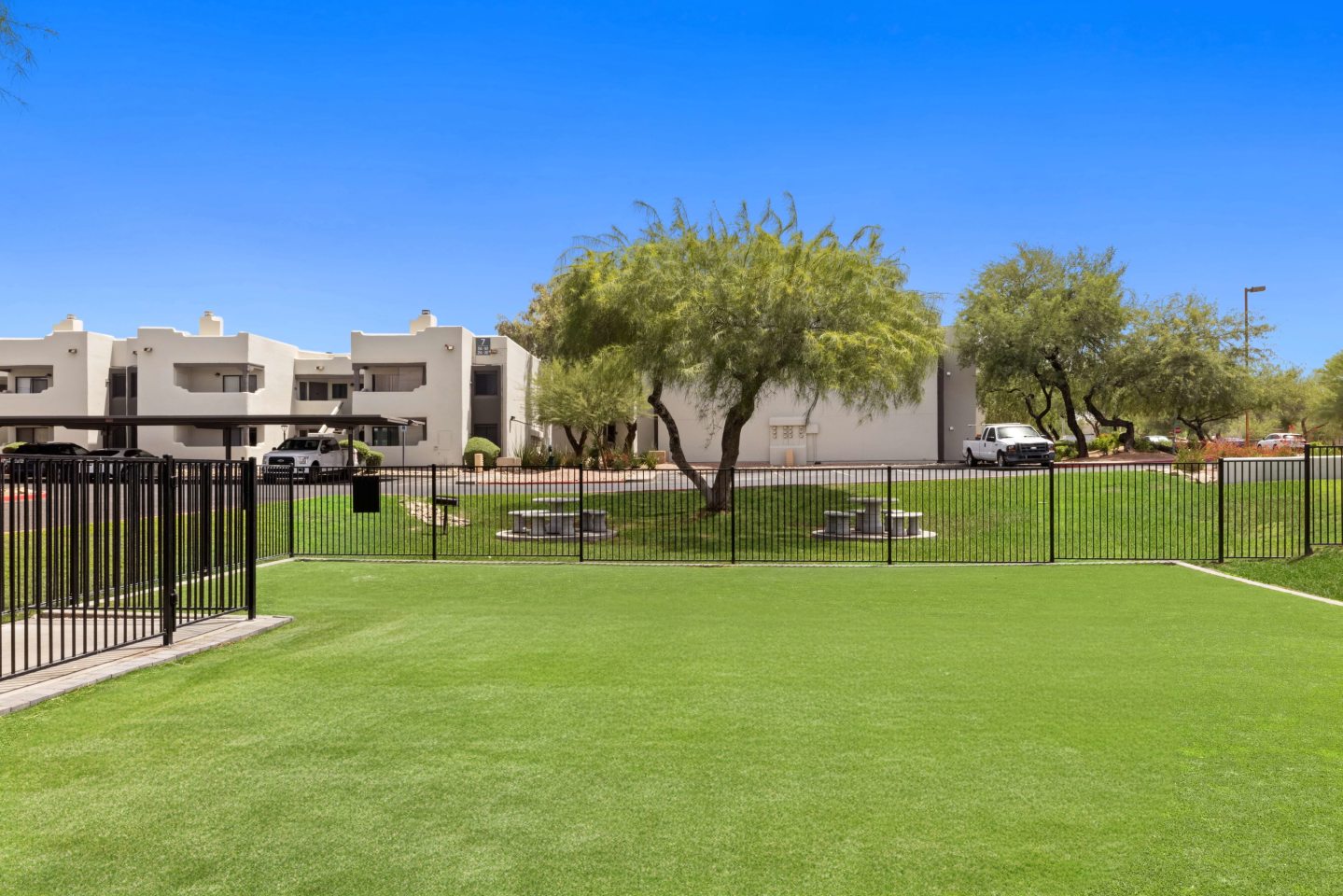 Cortland Scottsdale Mountain Image 30