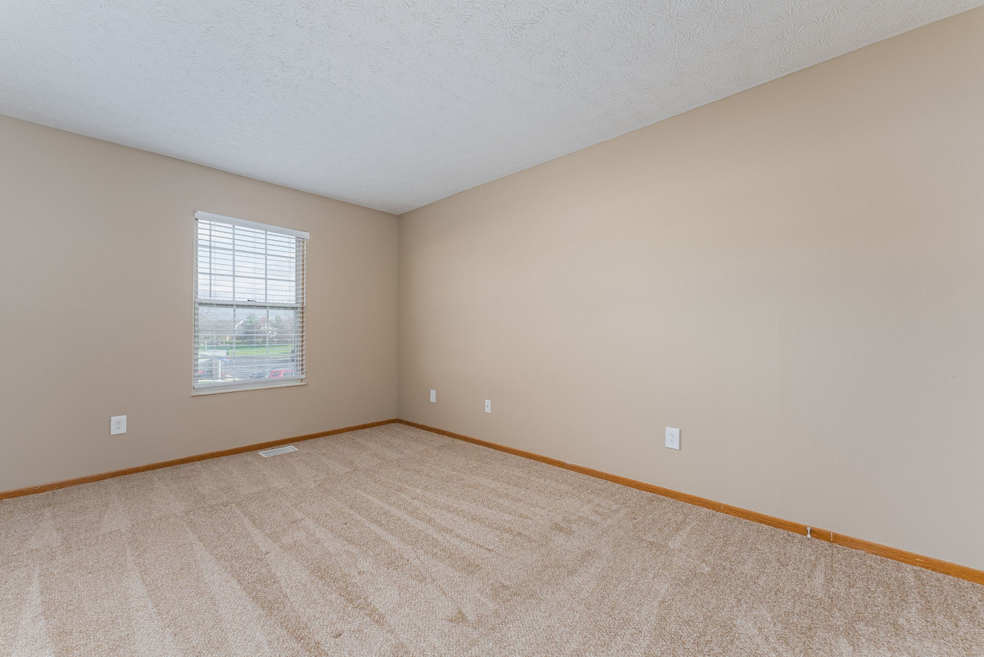 Woodland Trace Image 31