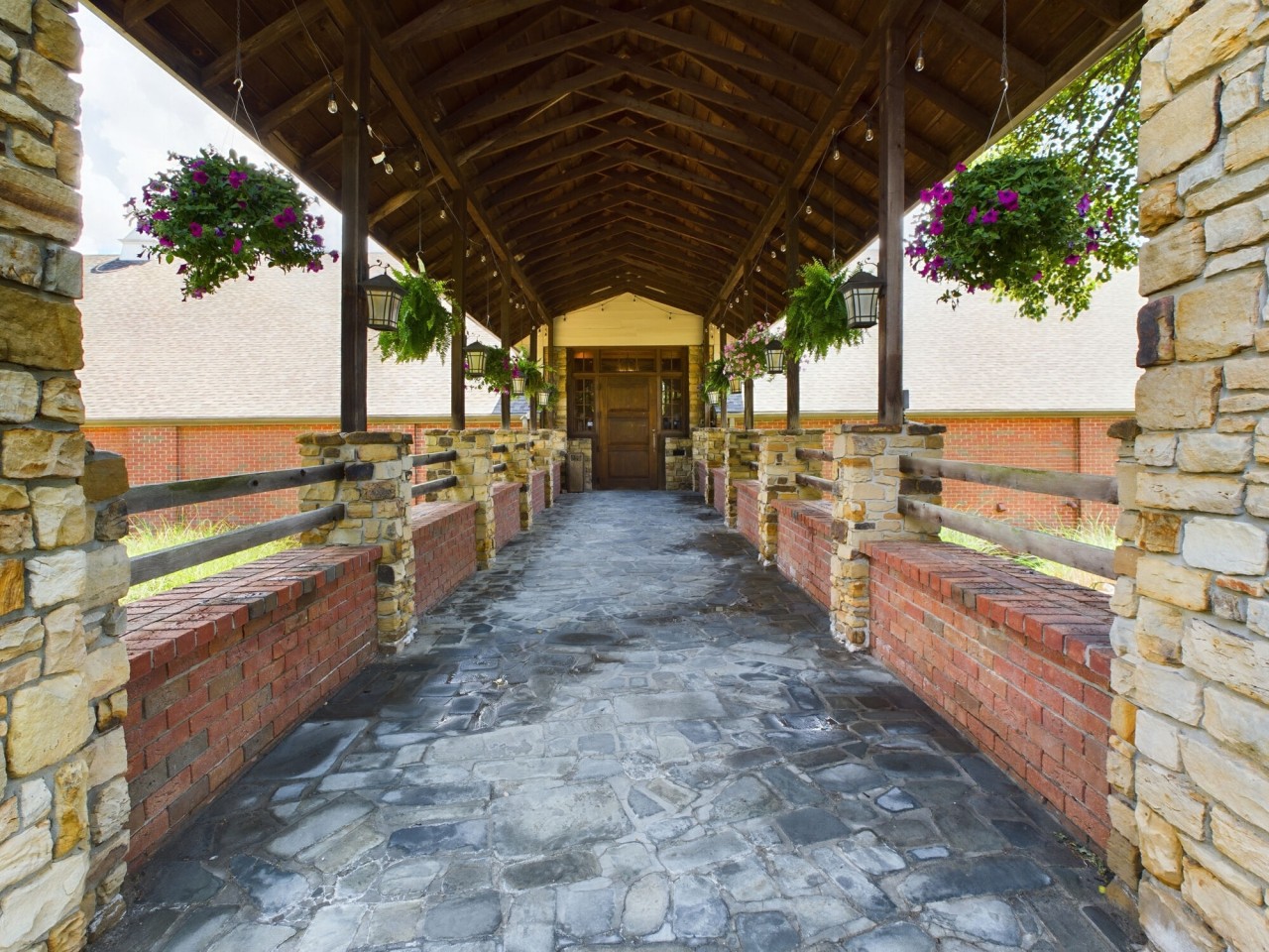 The Fields Image 19
