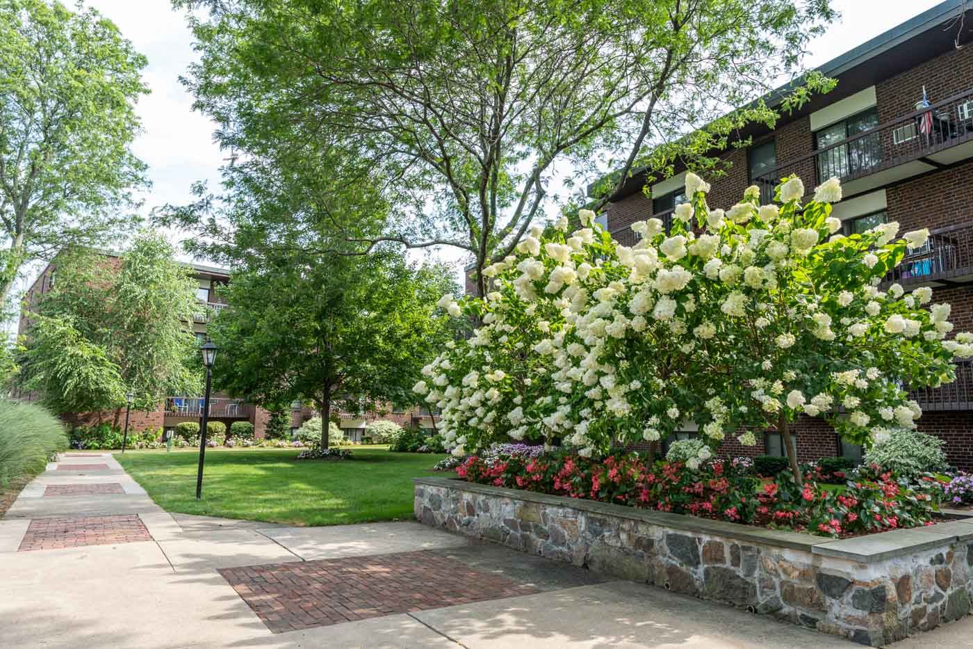 Quincy Commons Image 4