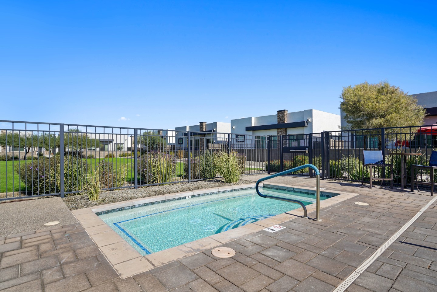 Olive Queen Creek Image 24