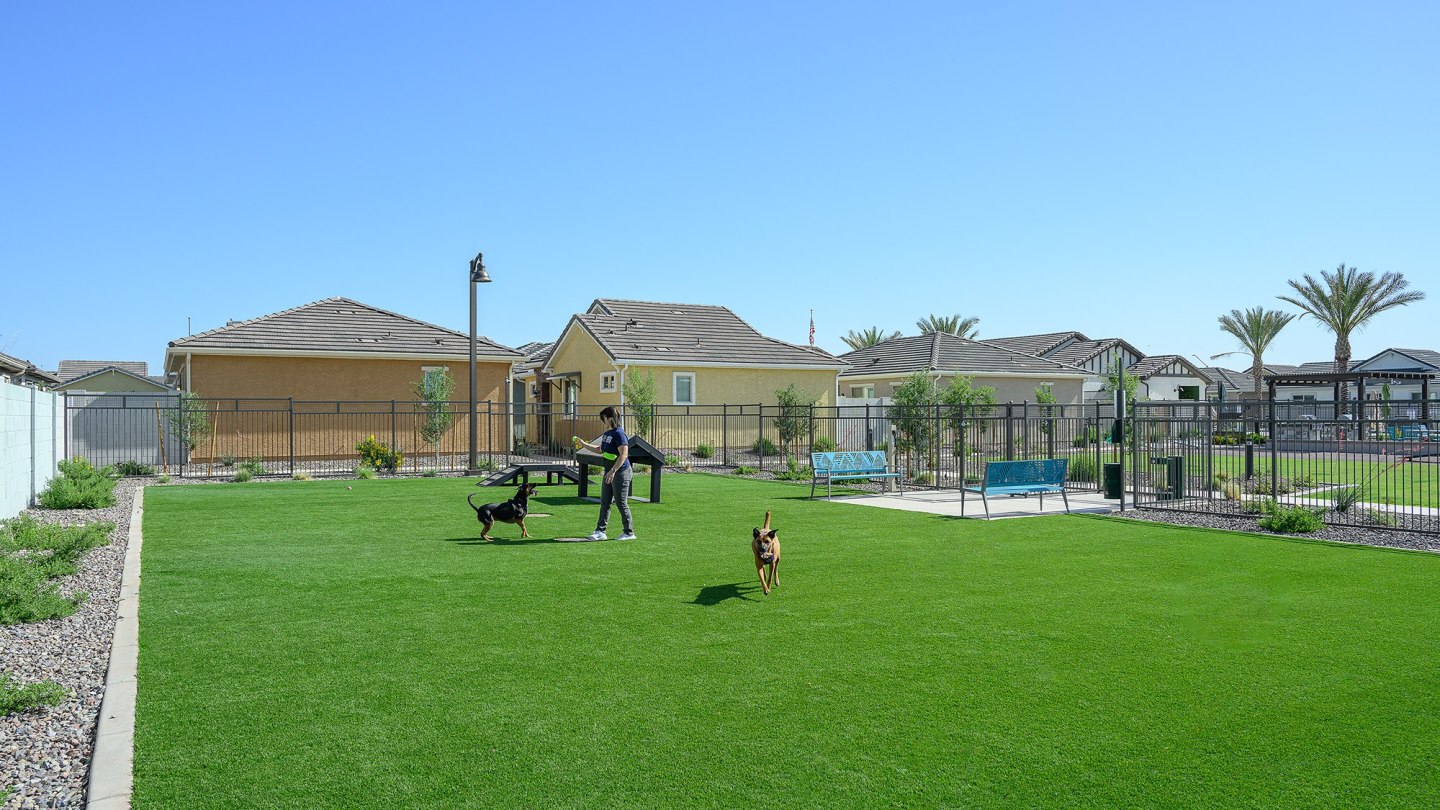 Village at the Blvd Image 6