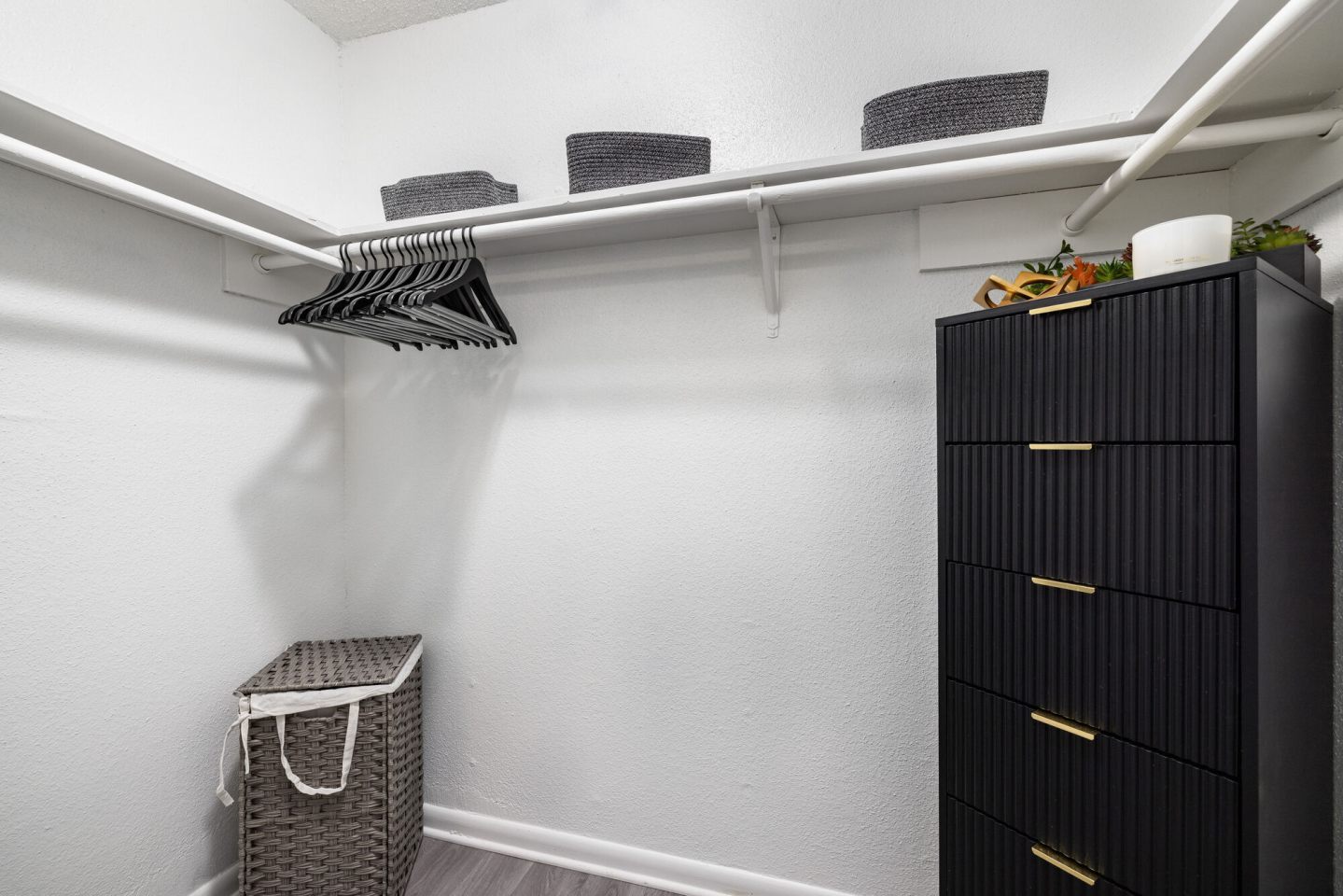 Solace Apartment Homes Image 5