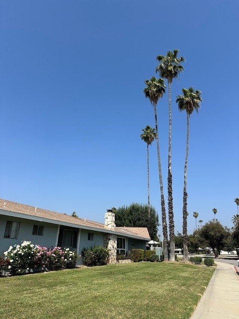 Palmbrook Image 3