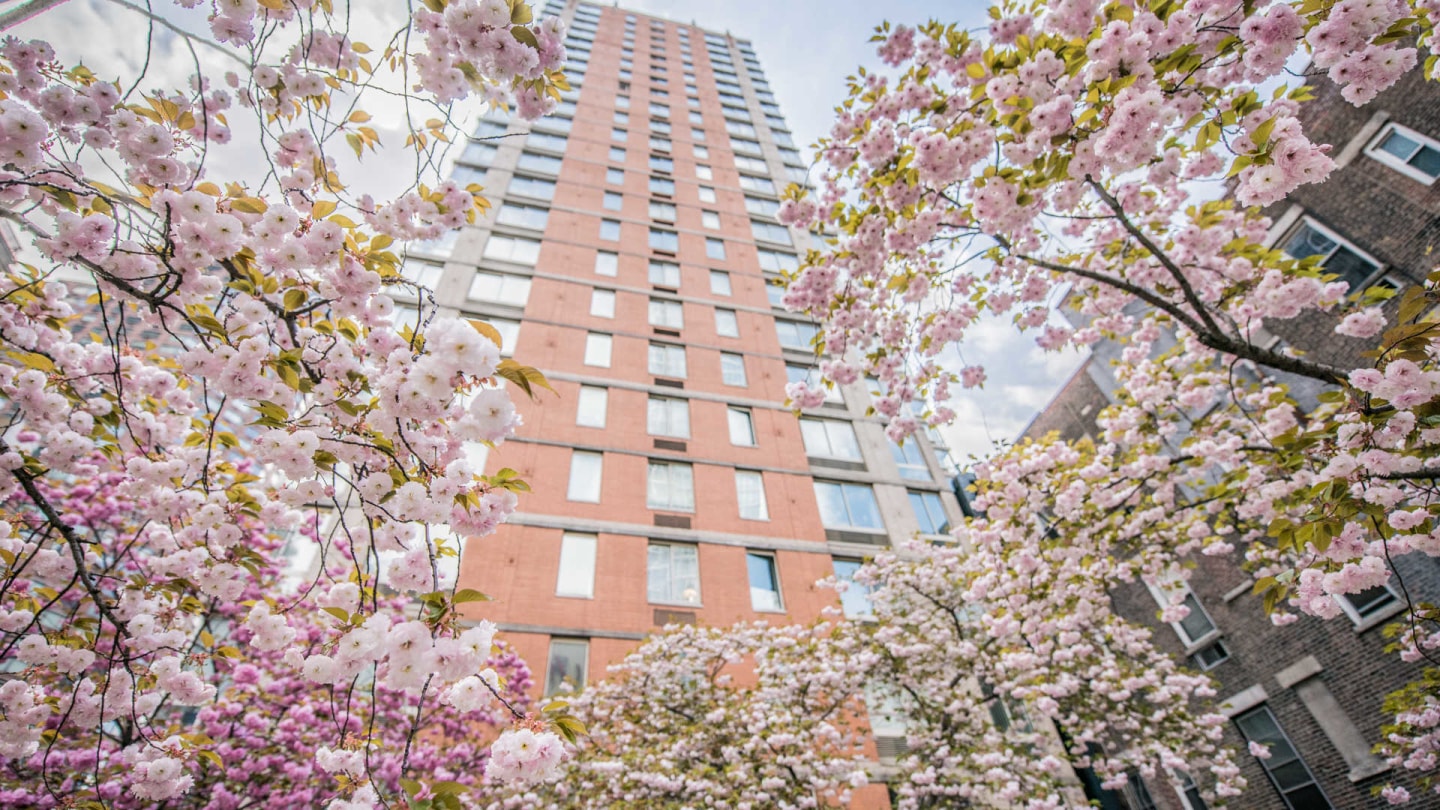 Longacre House Apartments Image 1