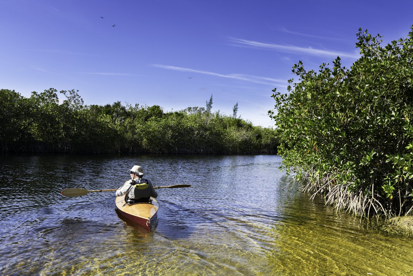 Waterline Bonita Springs Image 40