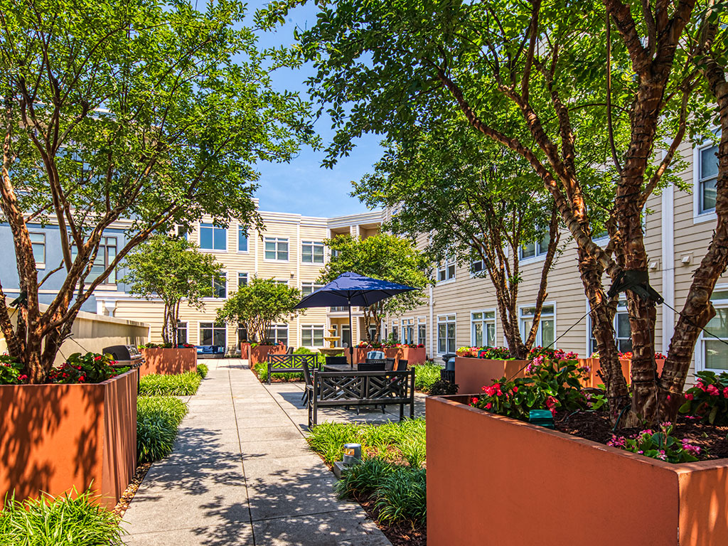 The Chapman at Peninsula Town Center Image 34