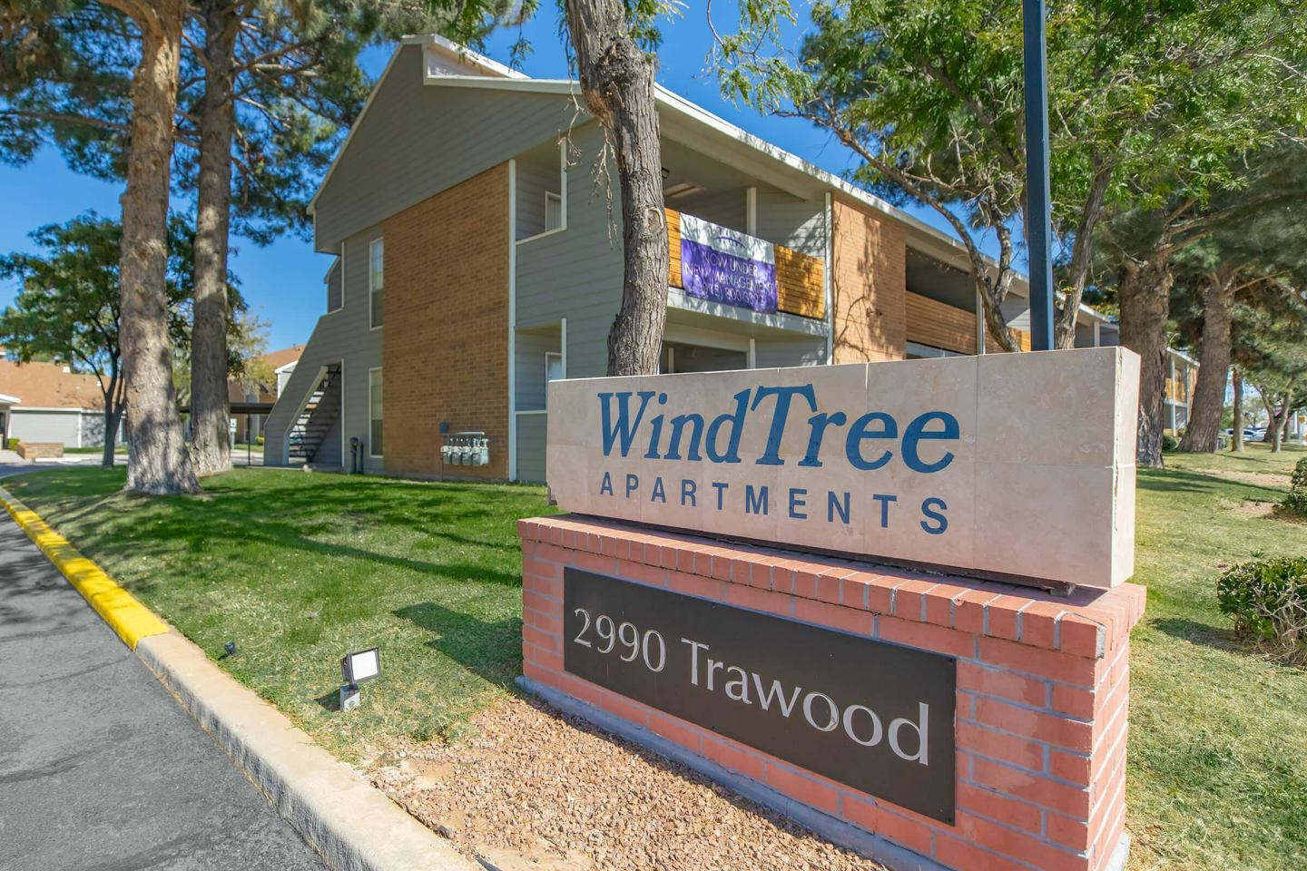 Wind Tree Image 17