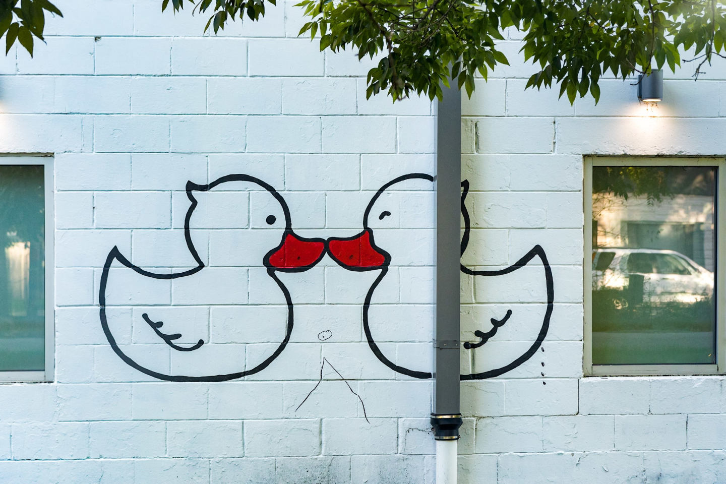 Monon Living Image 98