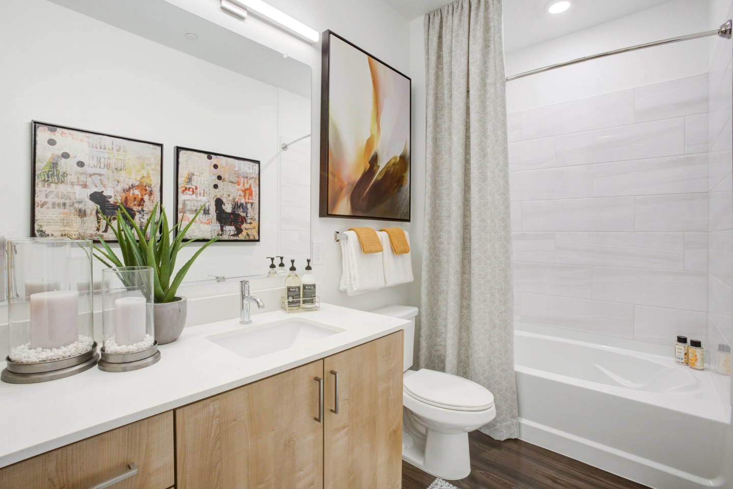 Lucent Scottsdale Image 21