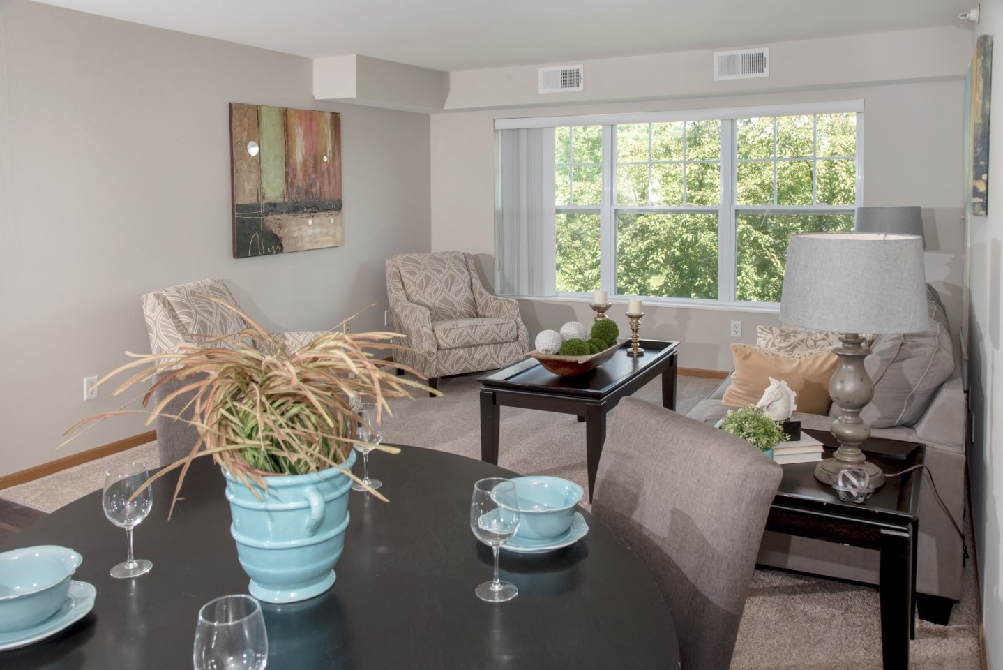 Chaska Place Image 12