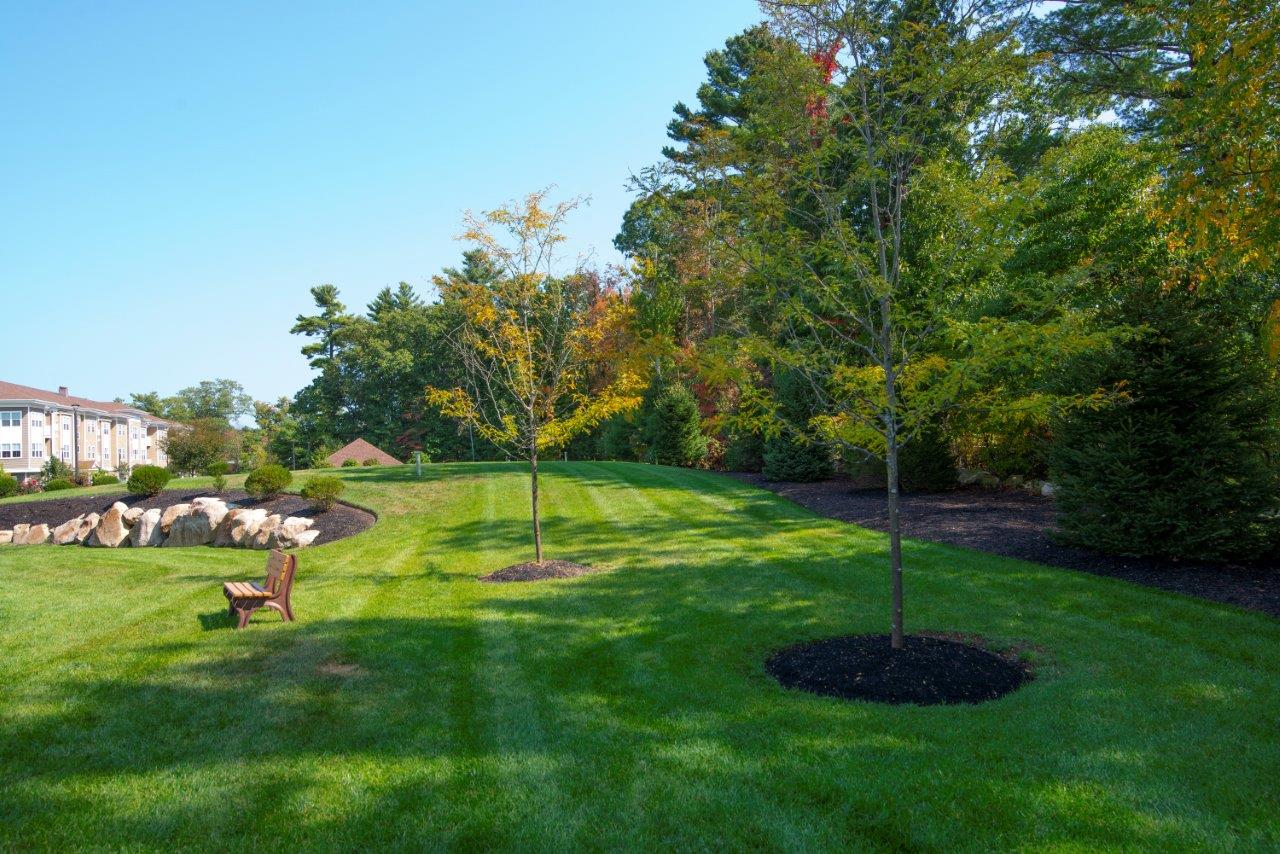 Webster Woods Image 2