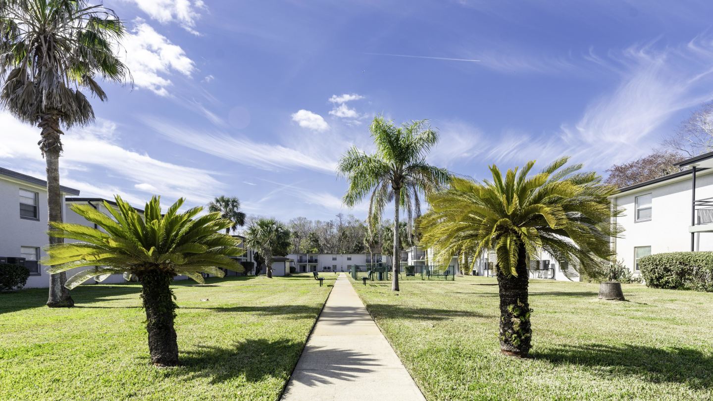 Palm Cove Apartments Image 16