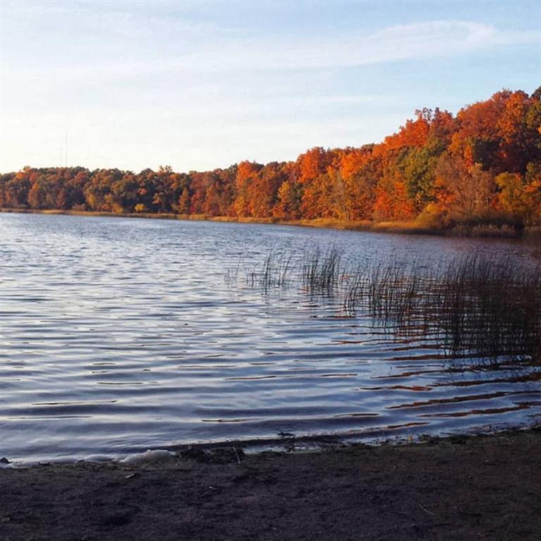 Winchell Way Image 25