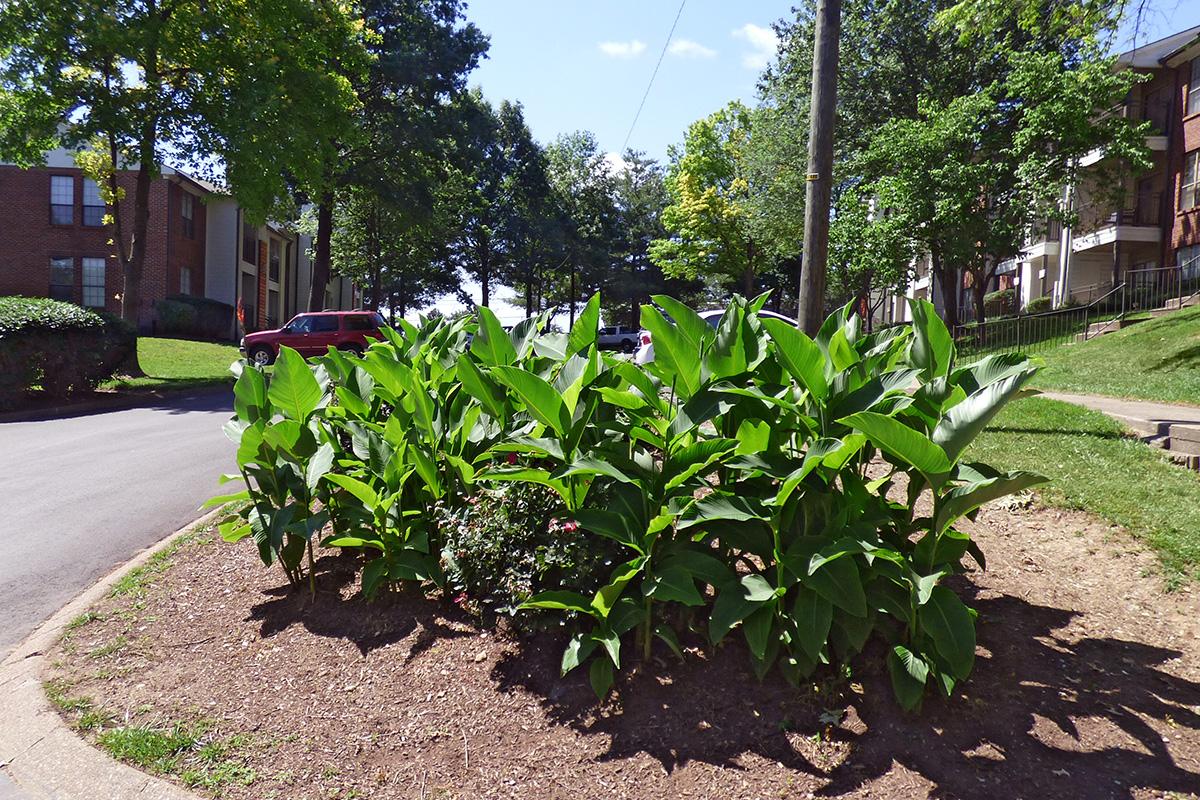 The Knolls Image 19