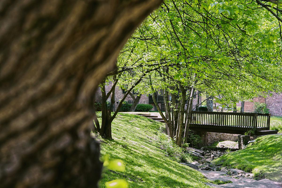 Gazebo Apartments Image 70