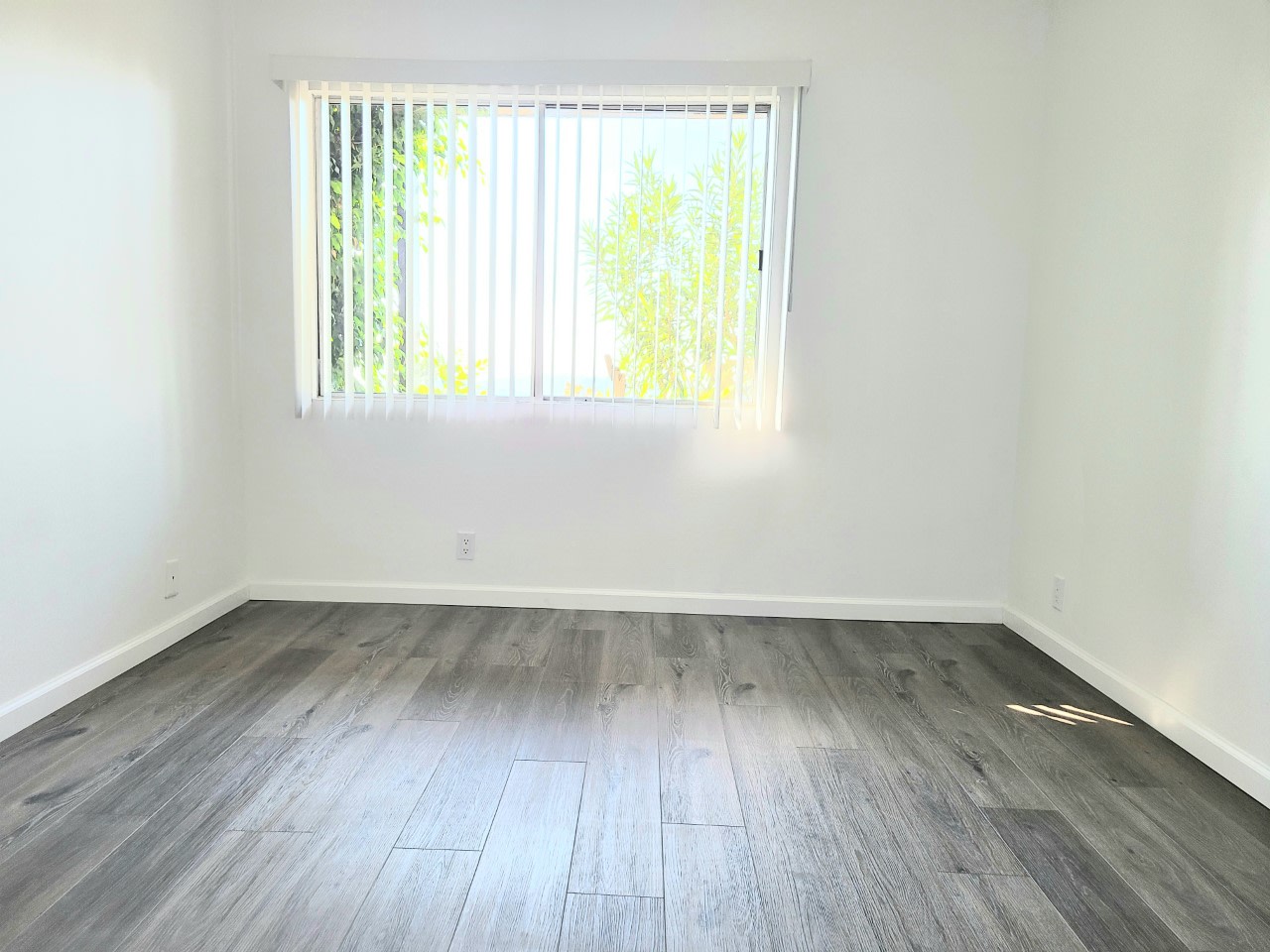 Annandale Terrace Image 12