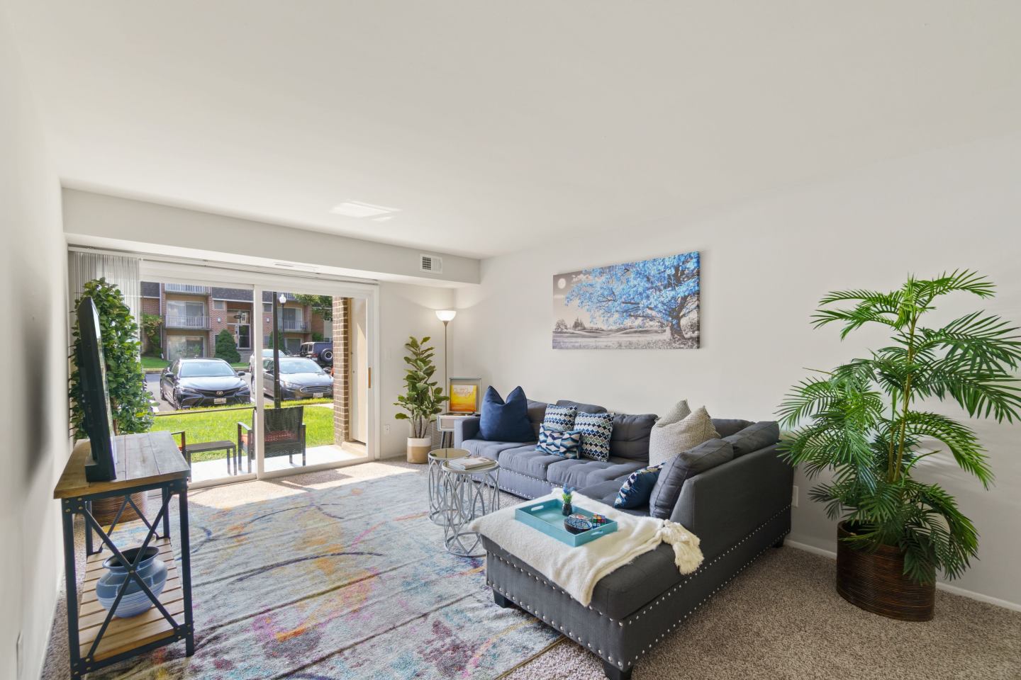 Apartments at Bel Air Image 13