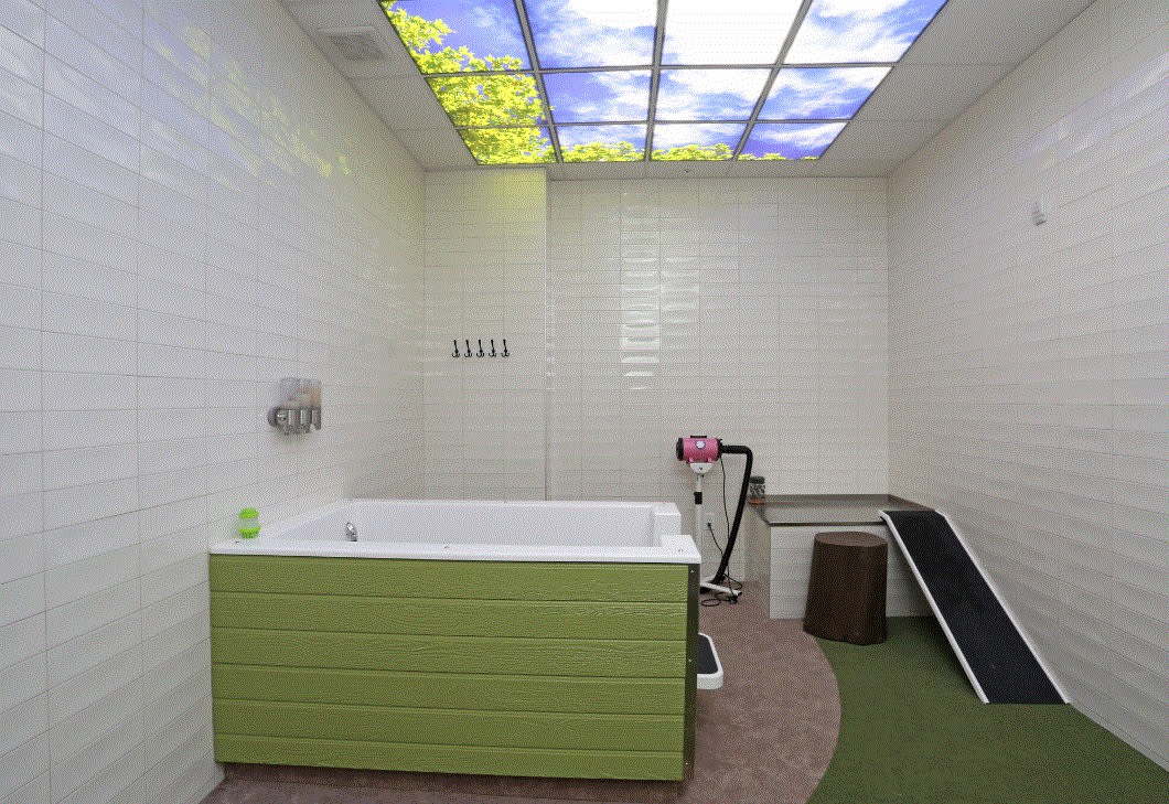 Synergy at the Mayfair Collection Image 13