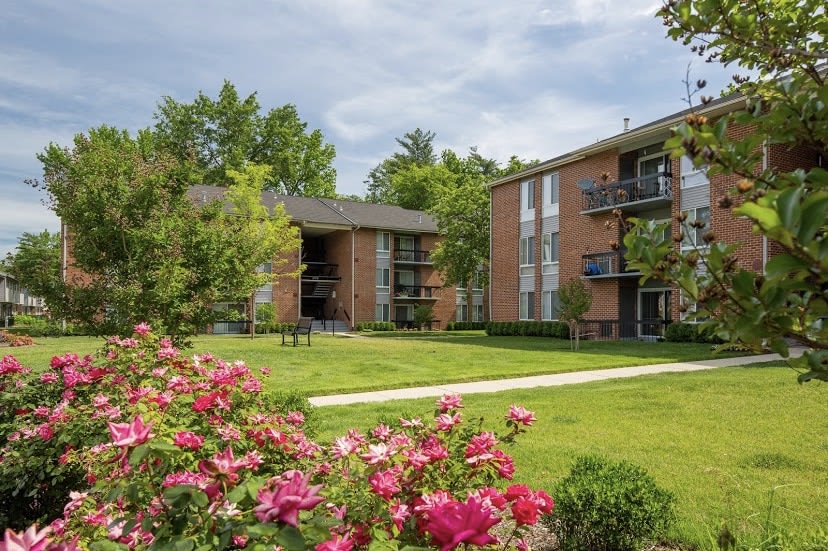 The Vista Apartments Image 2